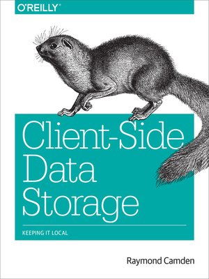 cover image of Client-Side Data Storage
